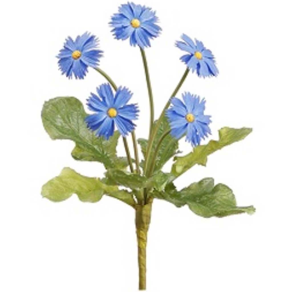 Mini Daisy Bush 8&quot; Bl 