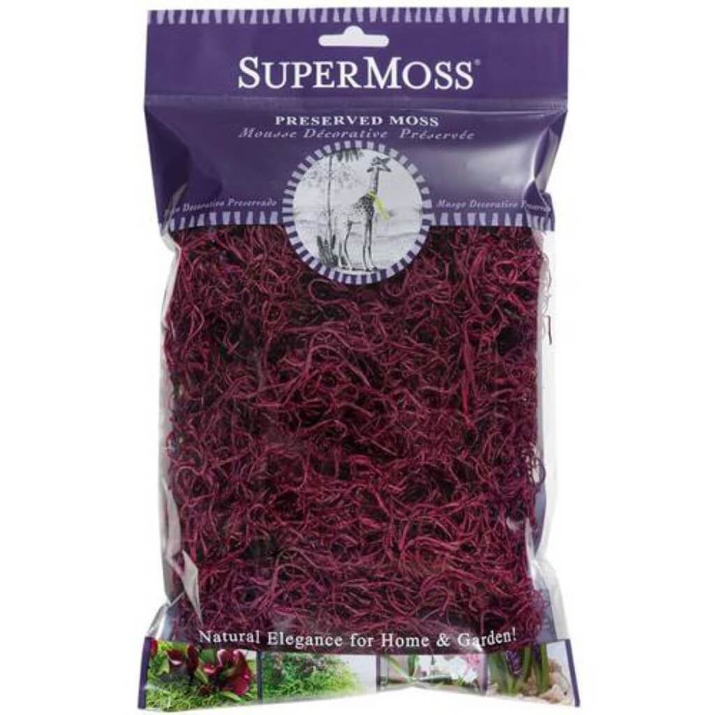 Preserved Spanish Moss 2oz Wine 