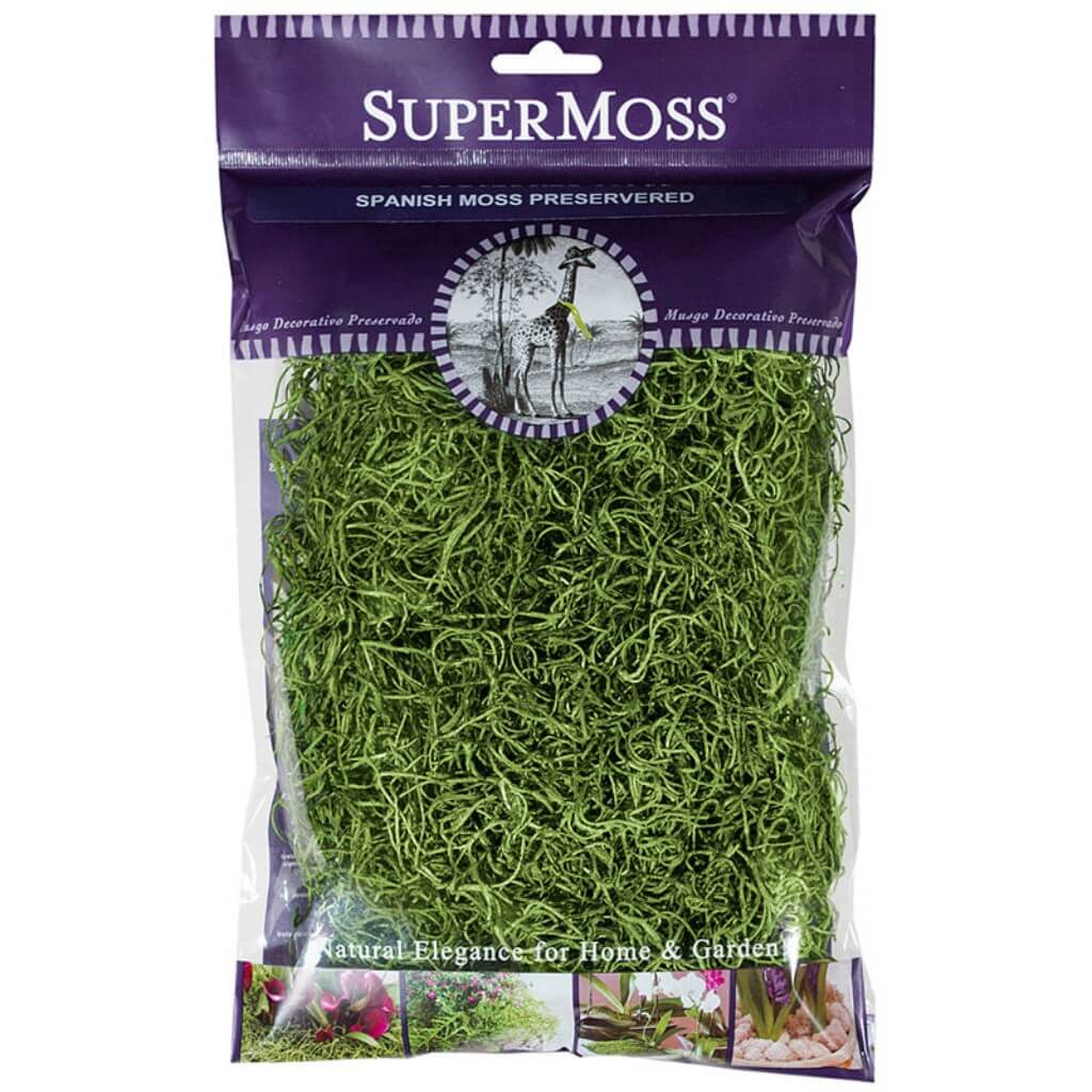 Preserved Spanish Moss 2oz Natural 