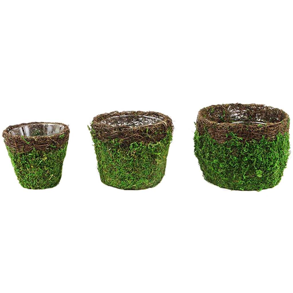 Vineyard Deco Basket Fresh Green Set of 3 