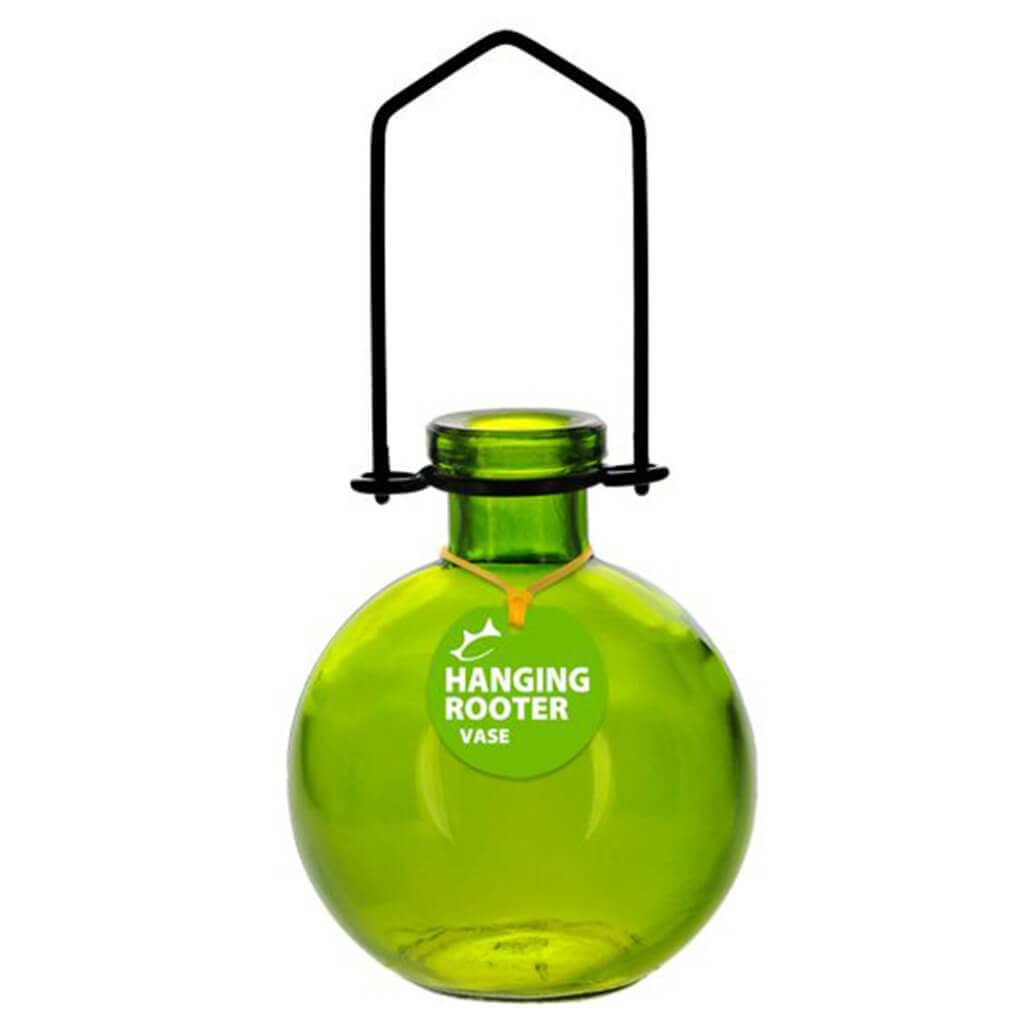 Hanging Ball Recycled Glass Rooting Vase 8.5oz, Lime