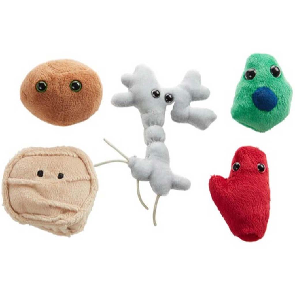 Giantmicrobes - Organ Cells 