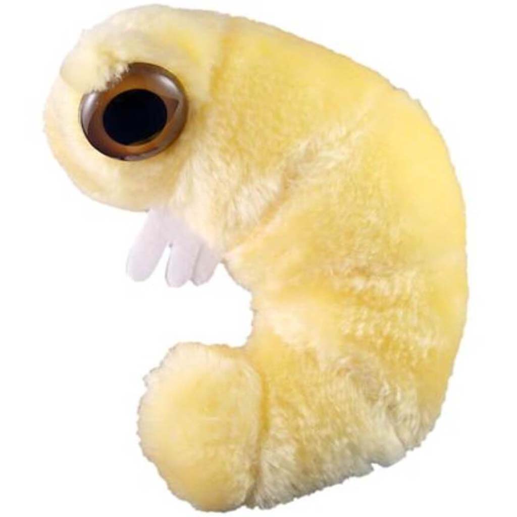 Giantmicrobes - Bookworm 