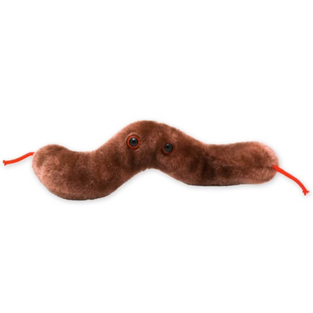 Giantmicrobes - Diarrhea 