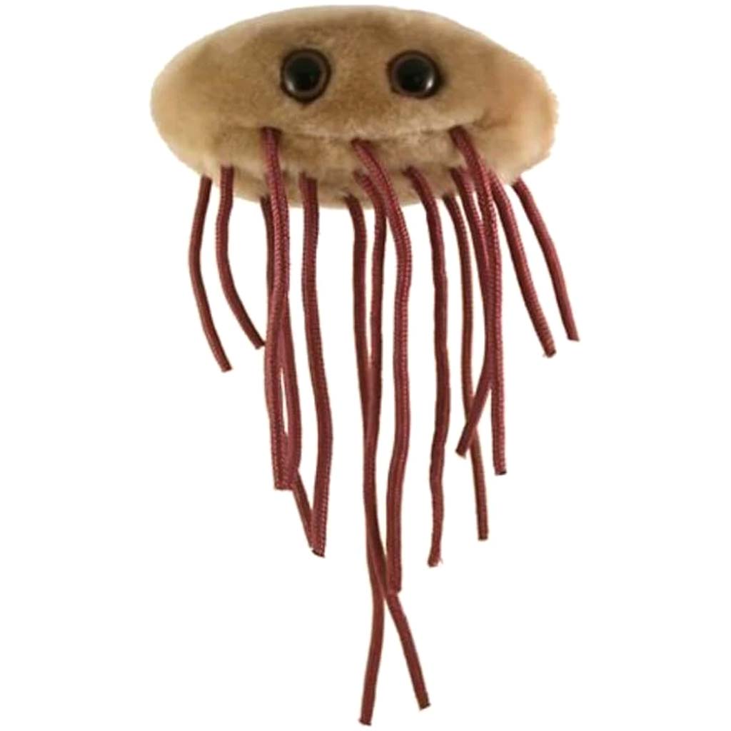 Giantmicrobes - E Coli 