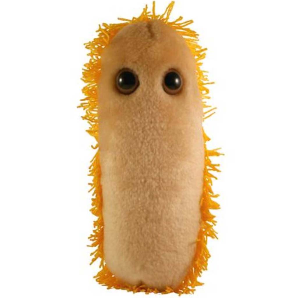 Giantmicrobes - Stomach Ache 