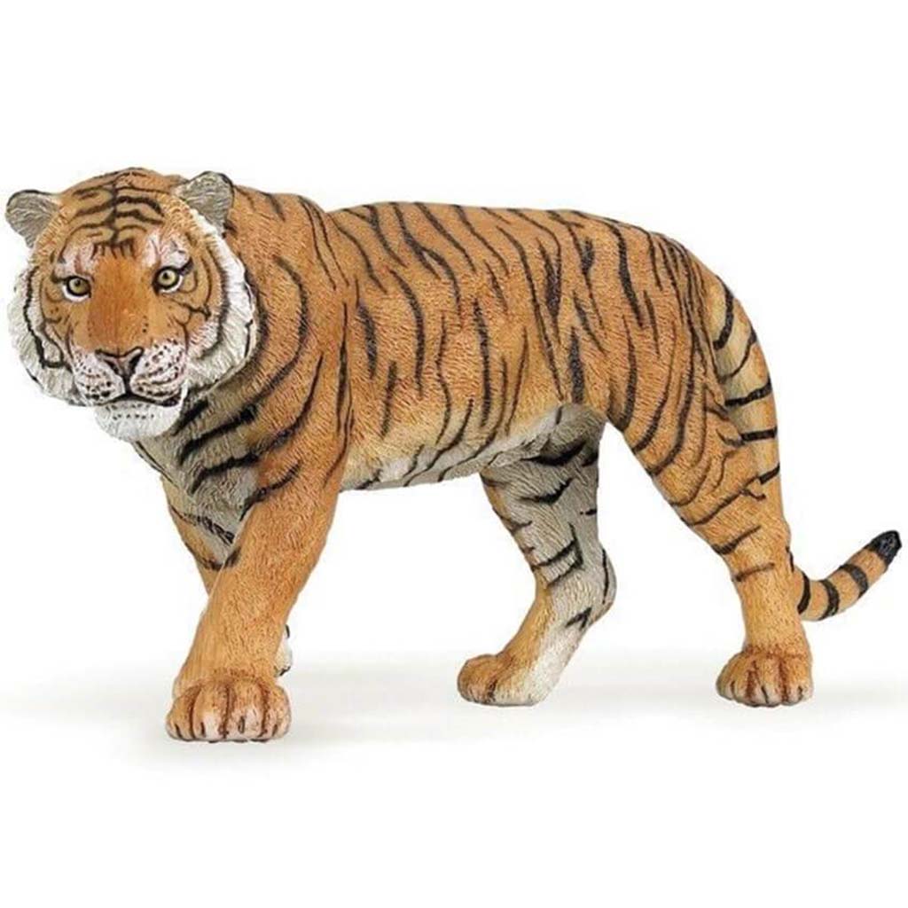 PAPO Tiger 