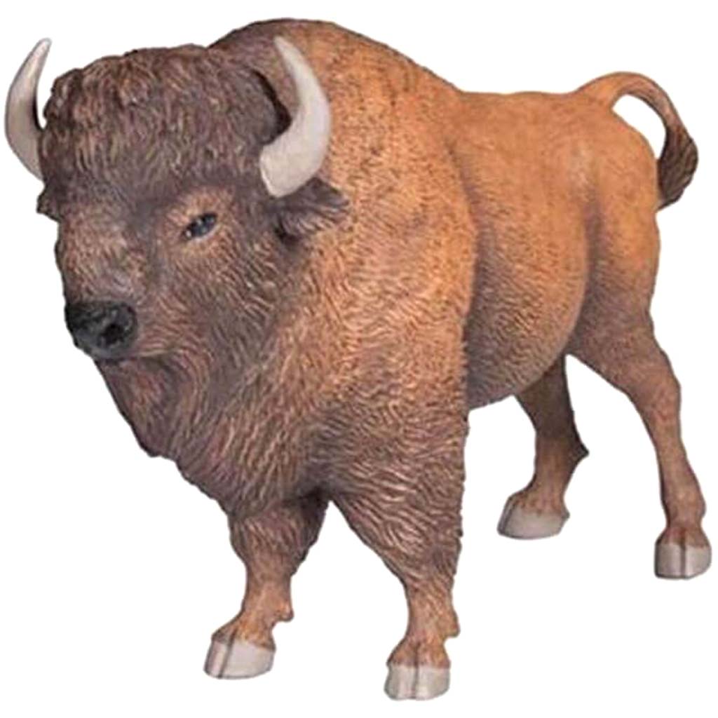 PAPO American Buffalo 