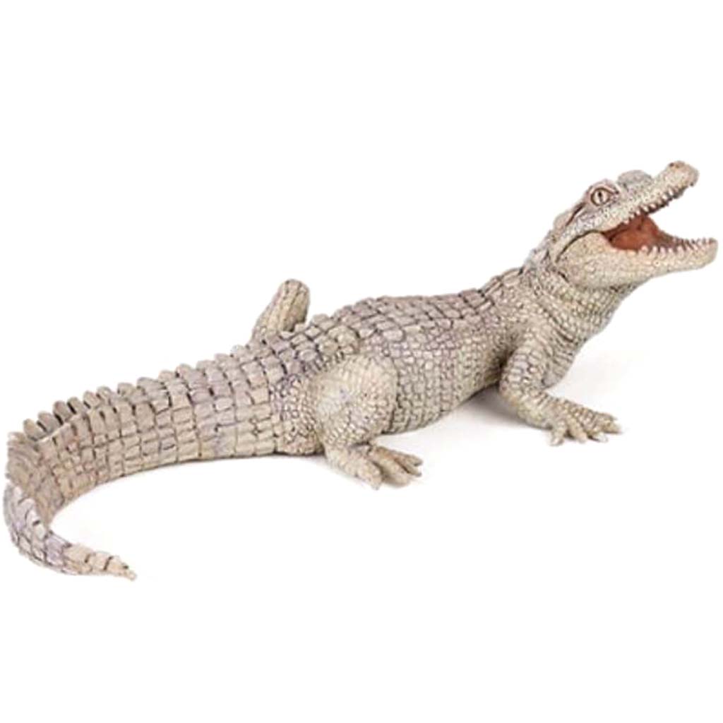 PAPO White Baby Crocodile 