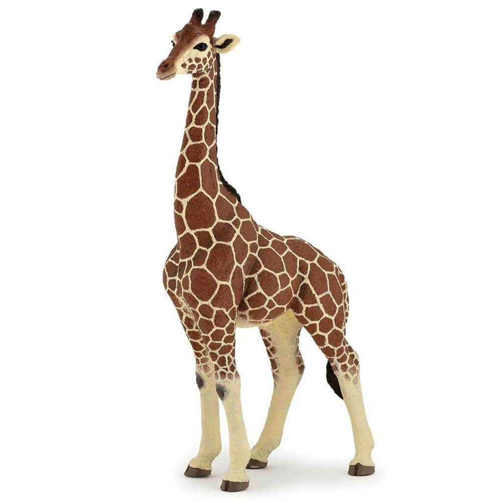 PAPO Giraffe Male 