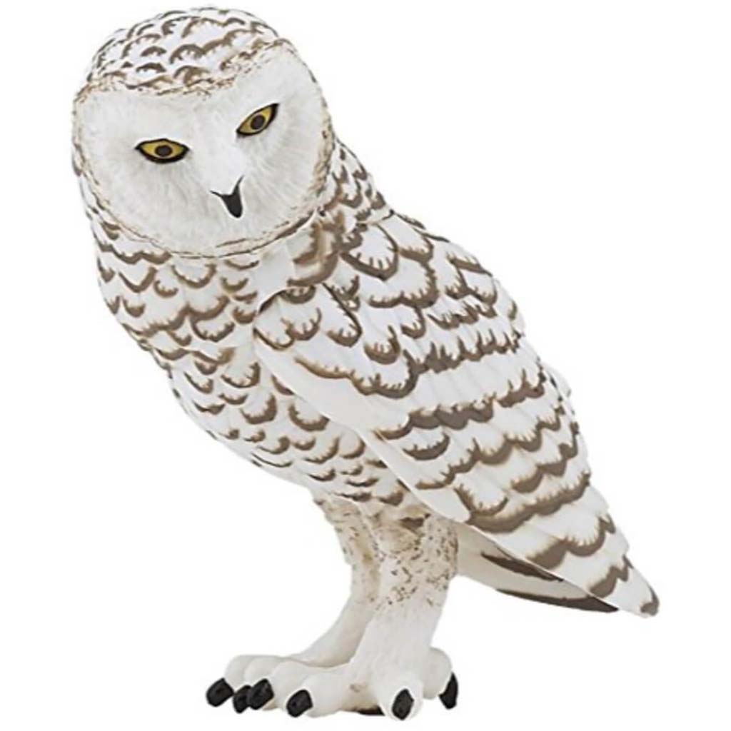 PAPO Snowy Owl 