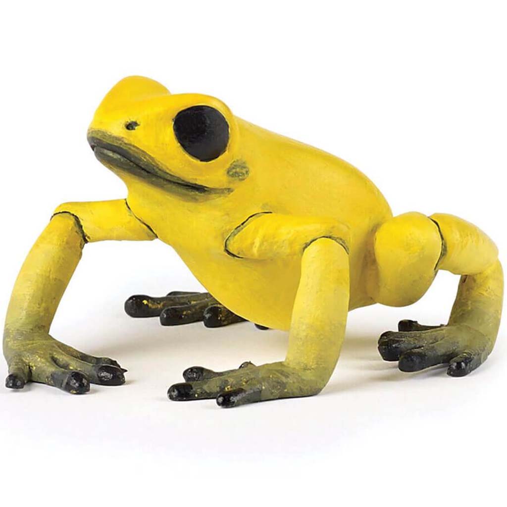 PAPO Equatorial Yellow Frog 