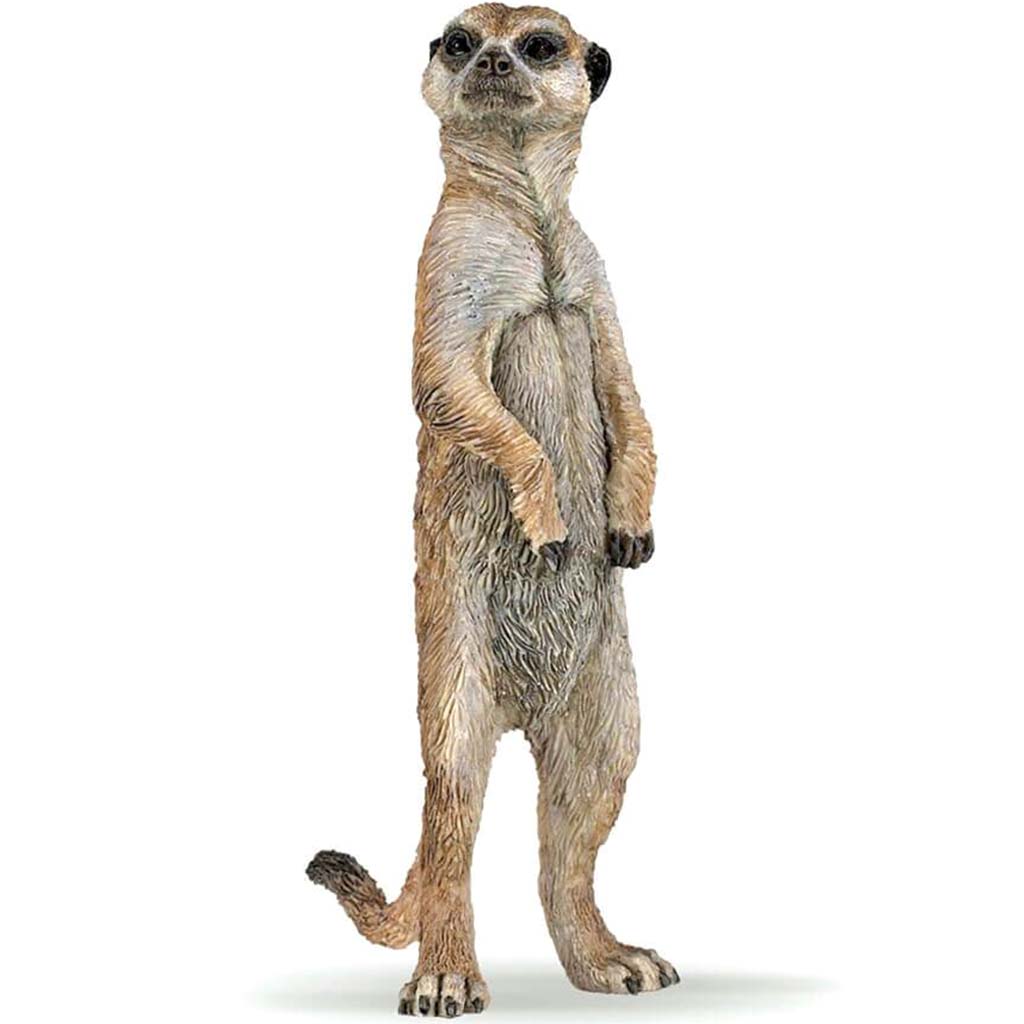 PAPO Standing Meerkat 