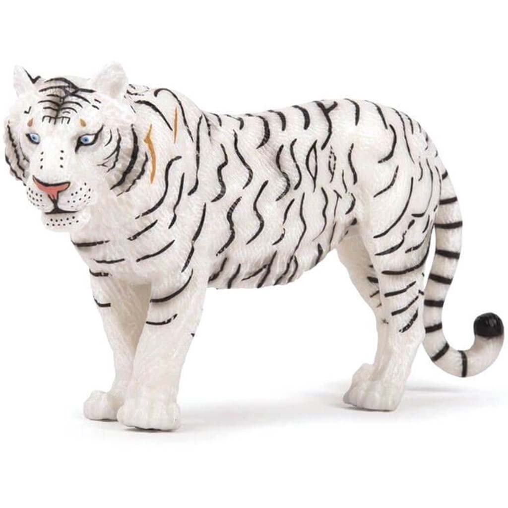 PAPO Large White Tigress 