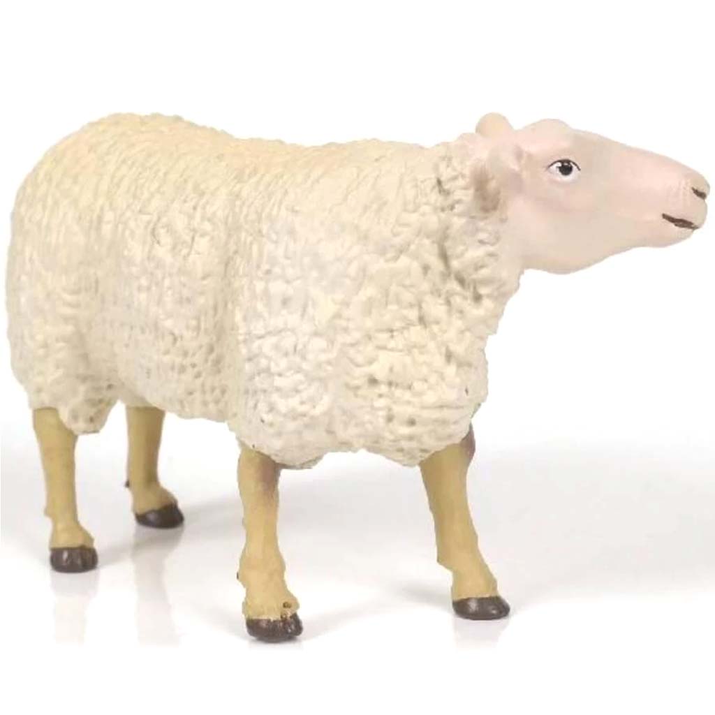 PAPO Sheep 