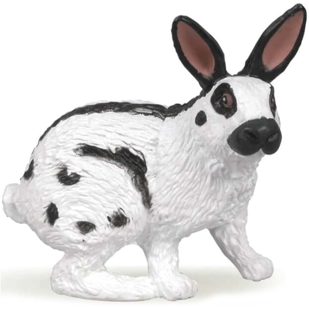 PAPO Papillon Rabbit 