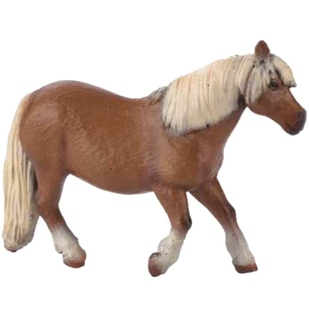 PAPO Shetland Pony 