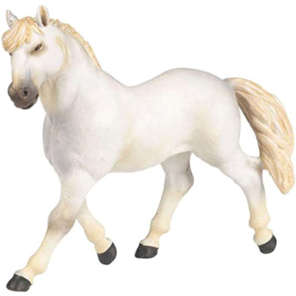 PAPO Andalusian Horse 