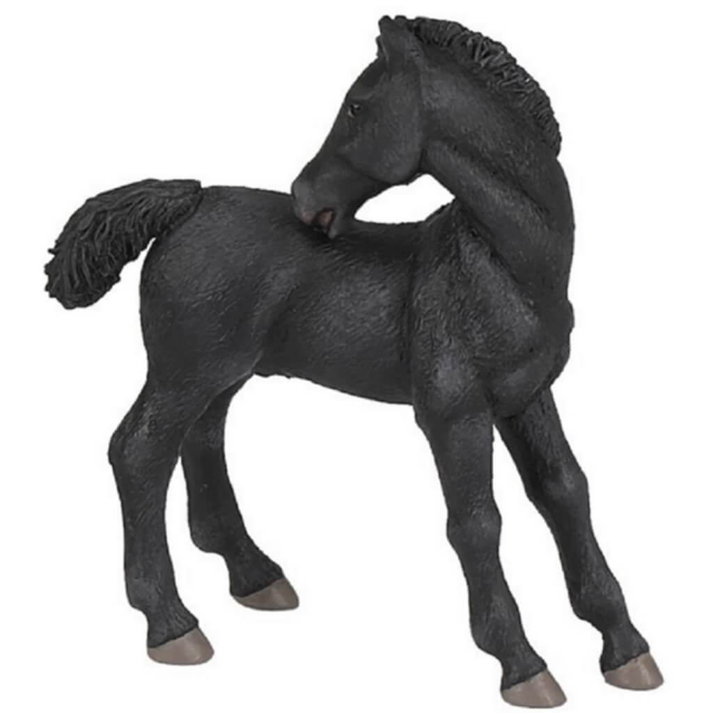 PAPO Lipizzan Foal 