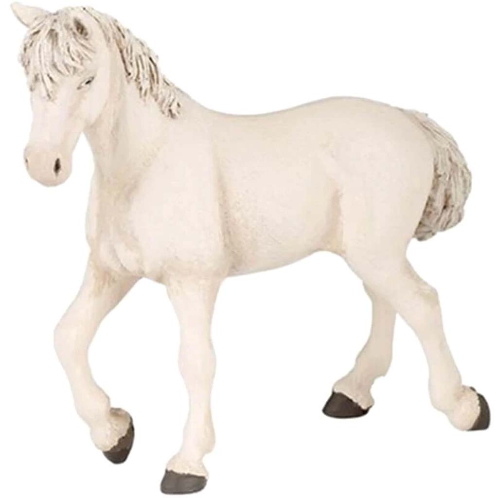 PAPO Cremello Mare 