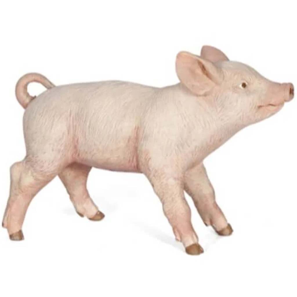 PAPO Female Piglet 