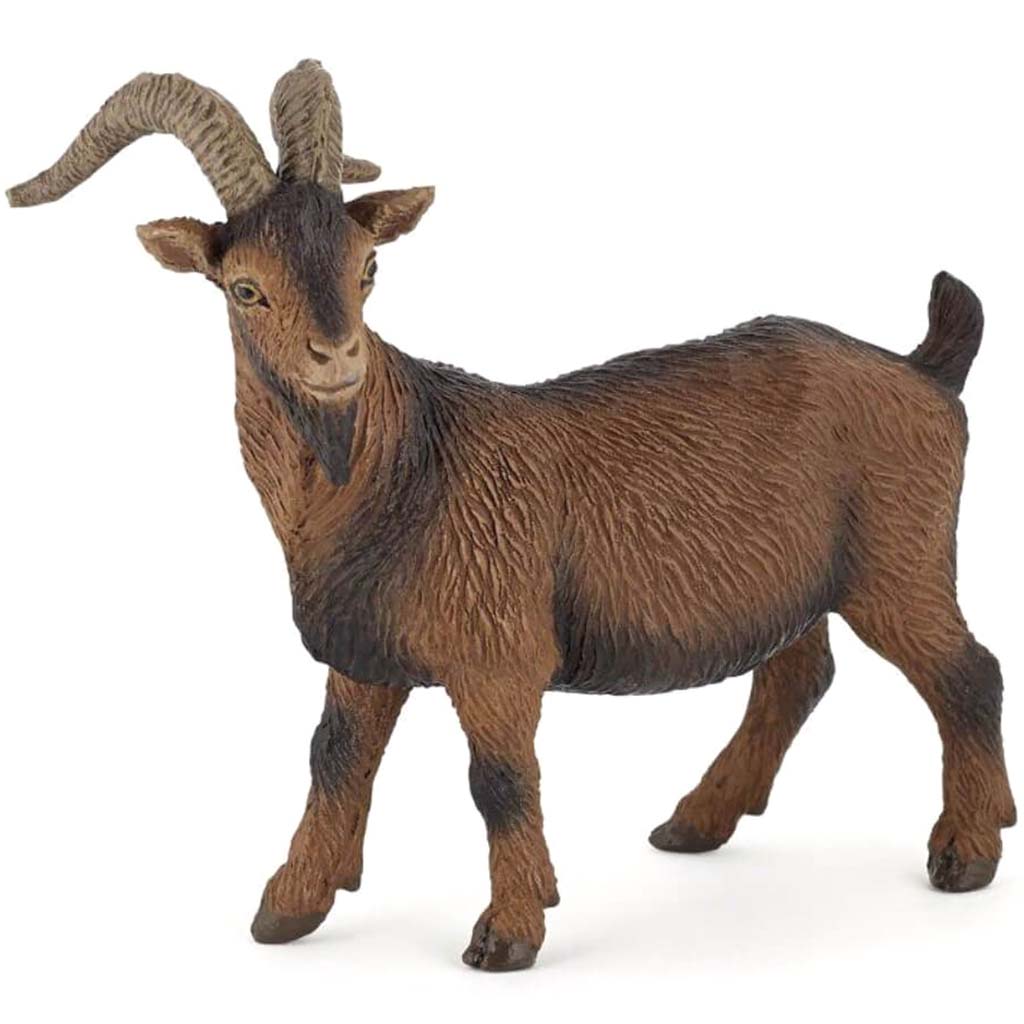 PAPO Brown Billy Goat 