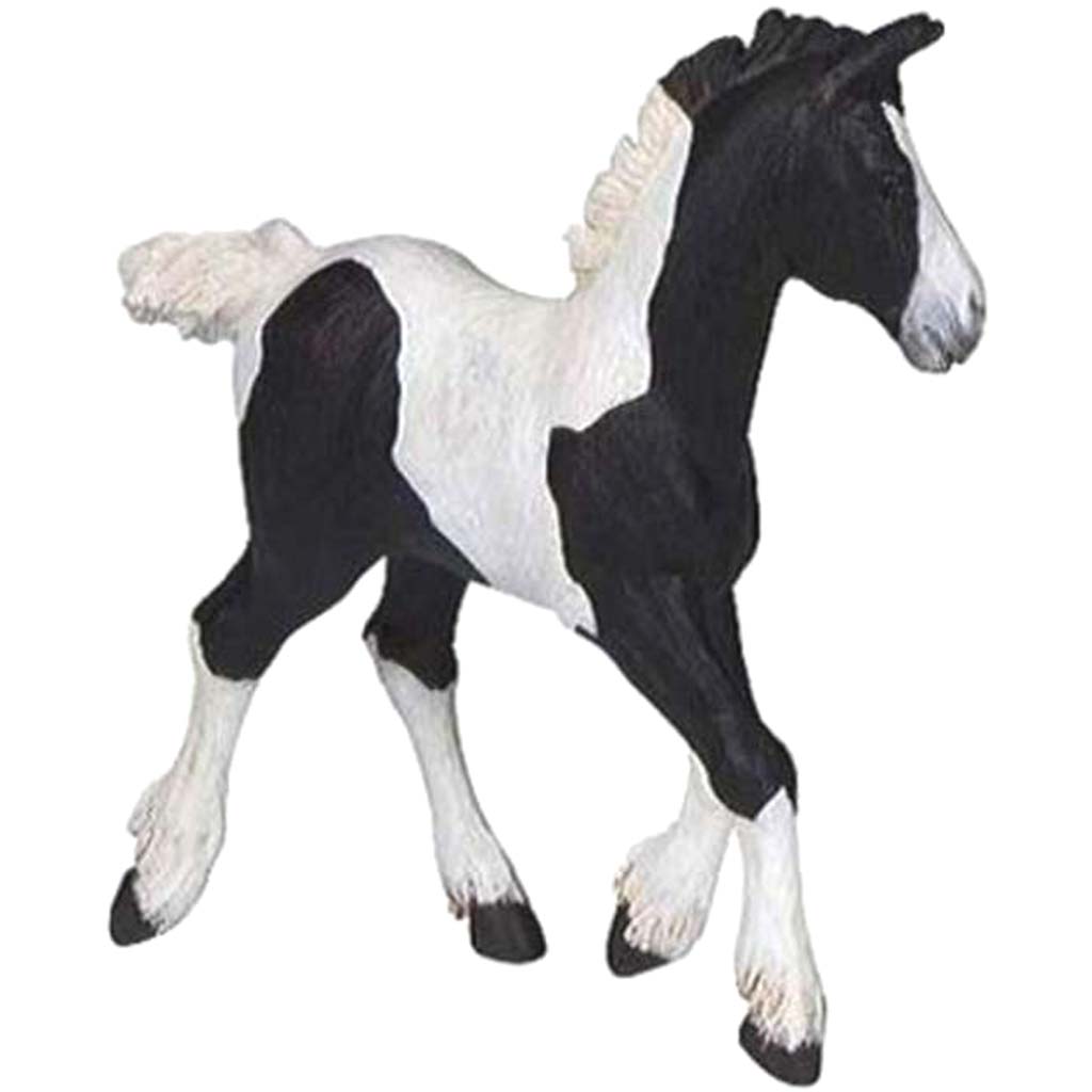 PAPO Black Piebald Cob Foal 