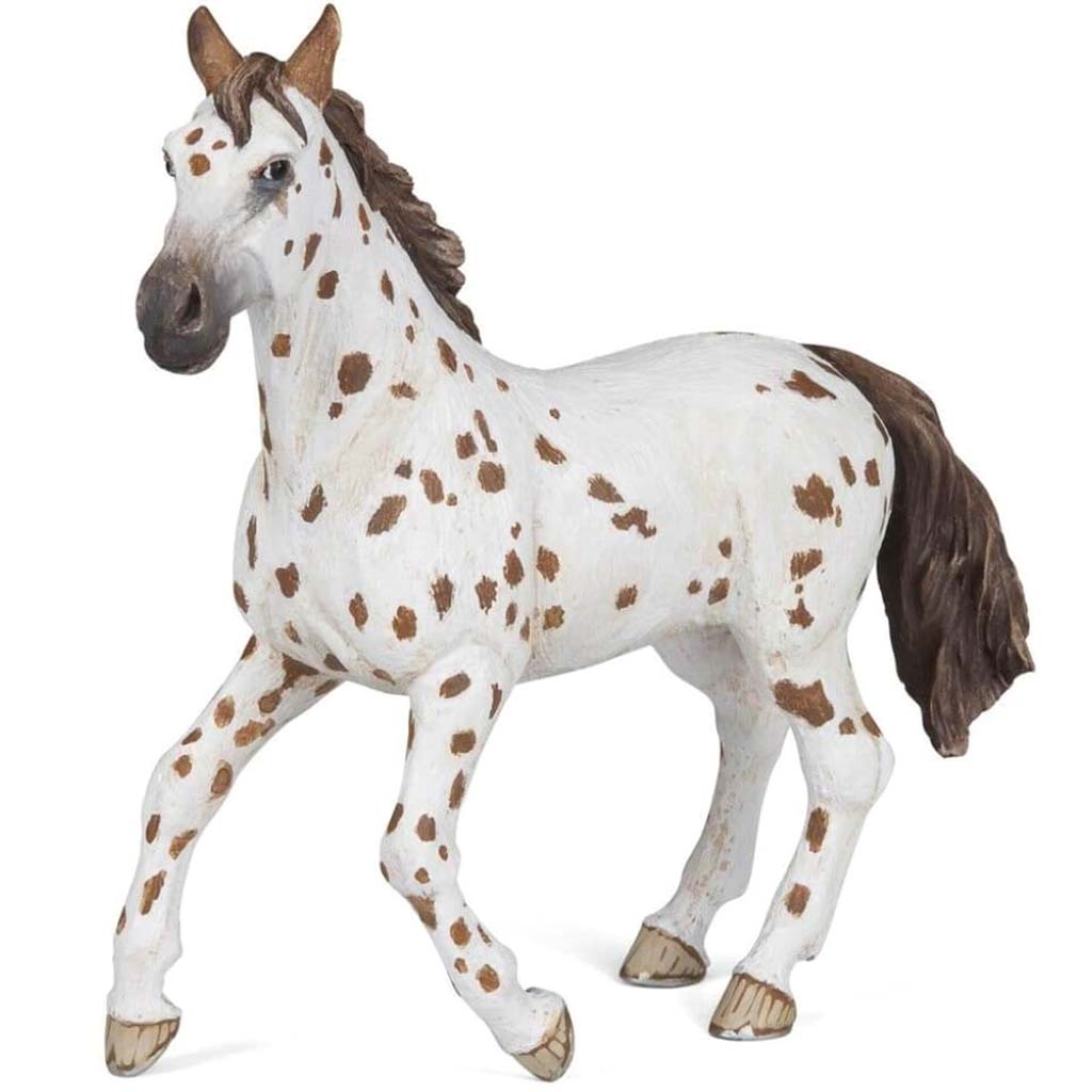 PAPO Brown Appaloosa Mare 