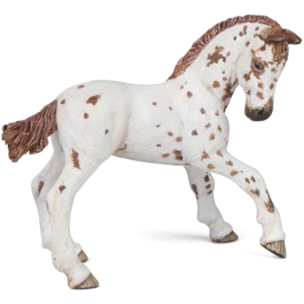 PAPO Brown Appaloosa Foal 