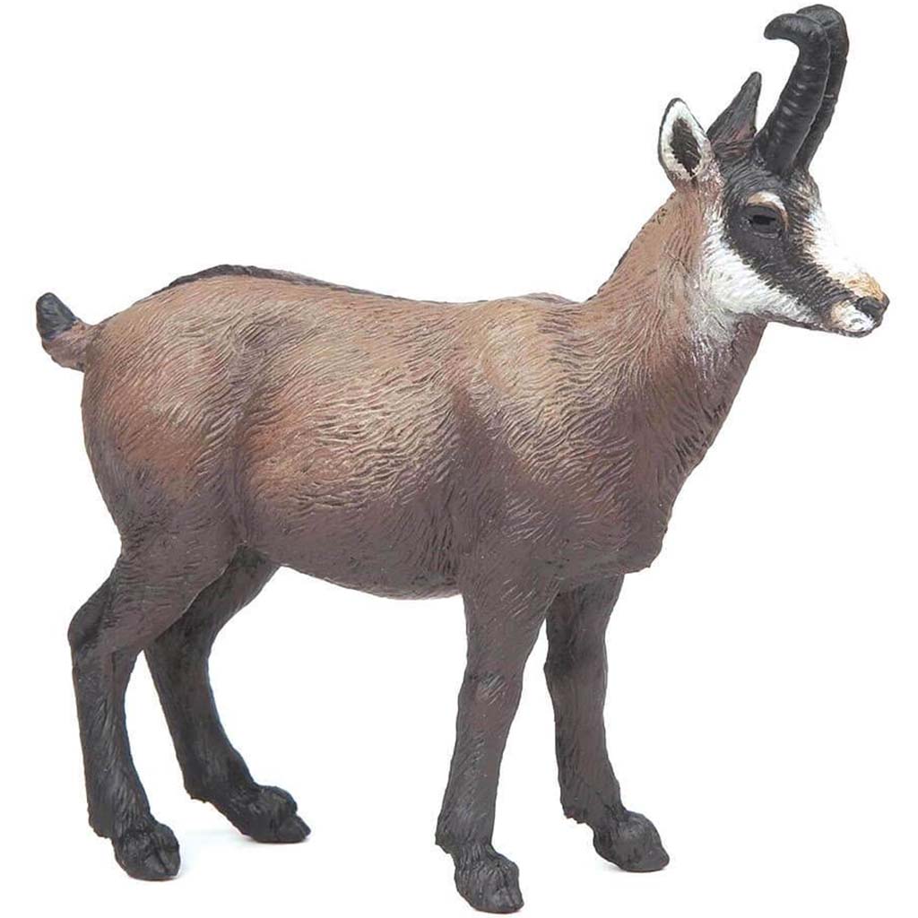 PAPO Chamois 