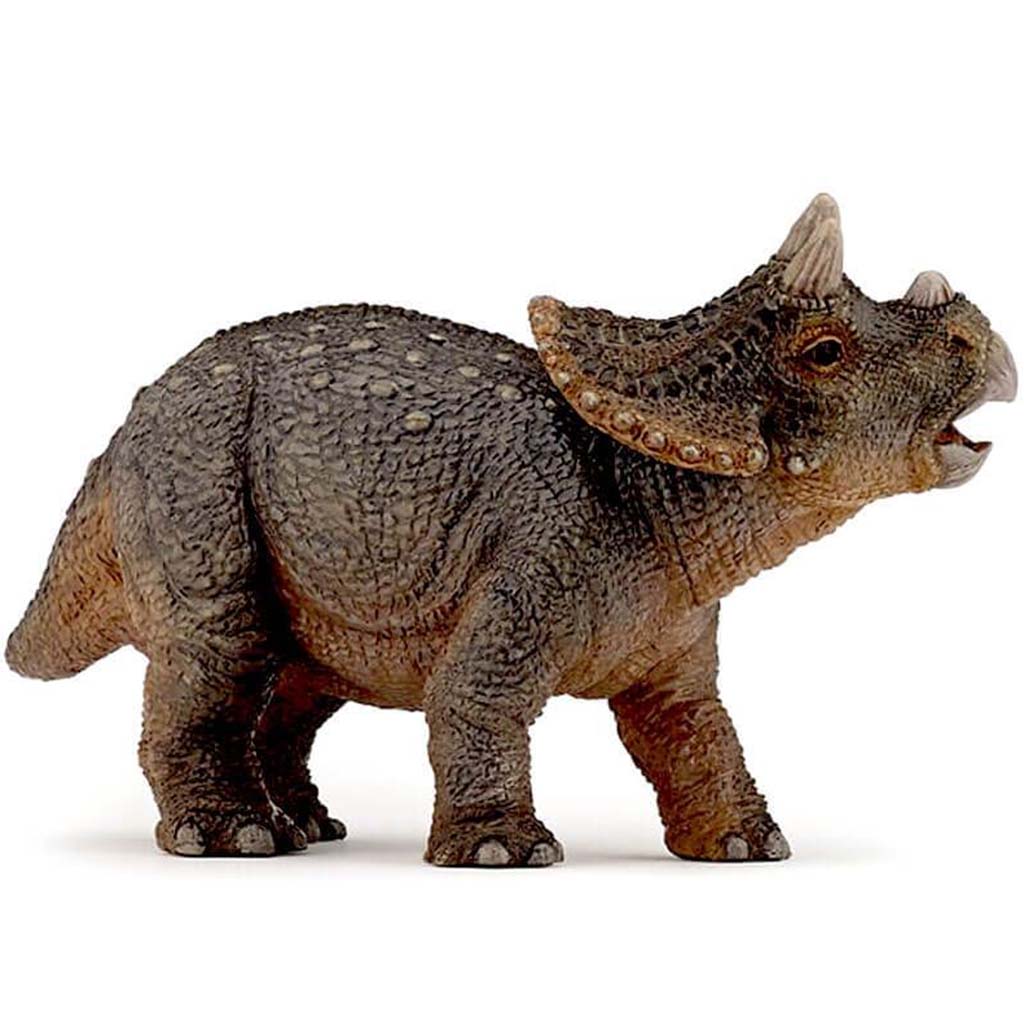 PAPO Young Triceratops 