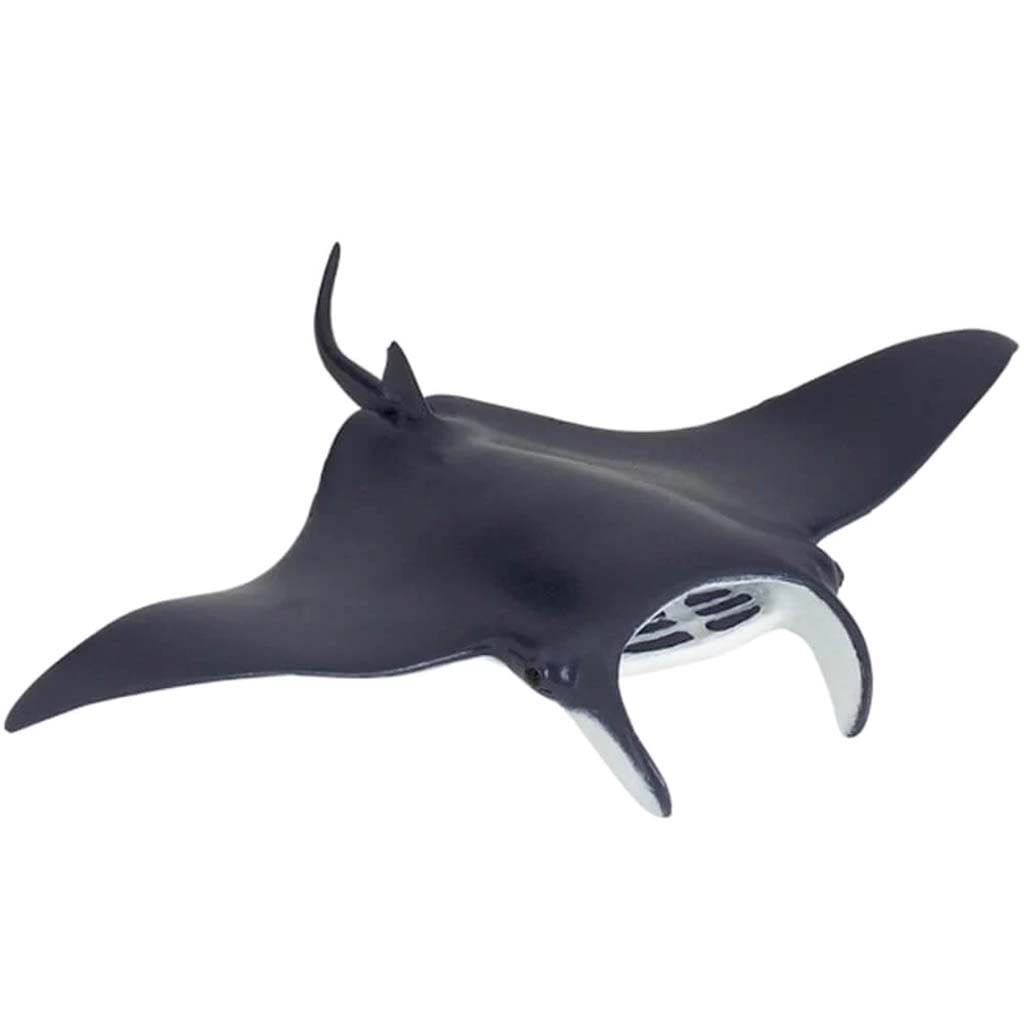 PAPO Manta Ray 