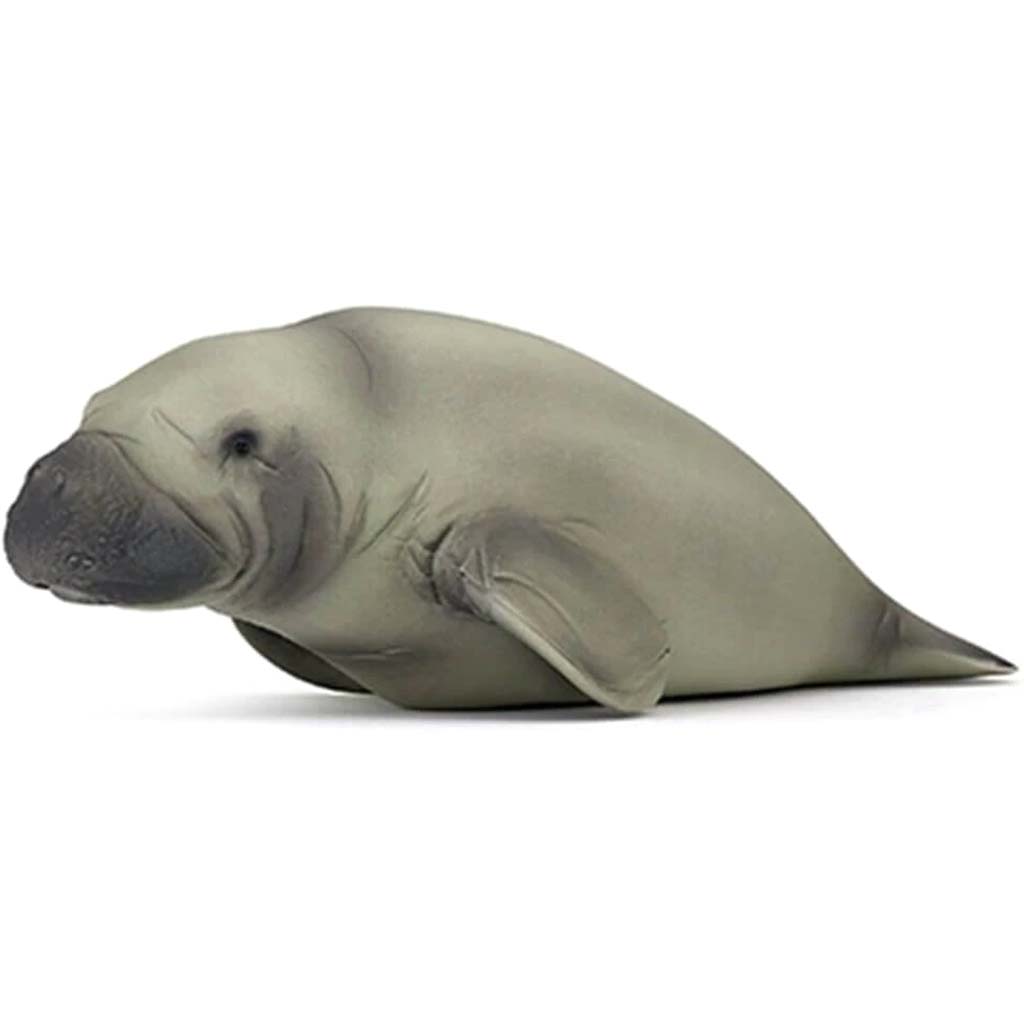 PAPO Manatee 