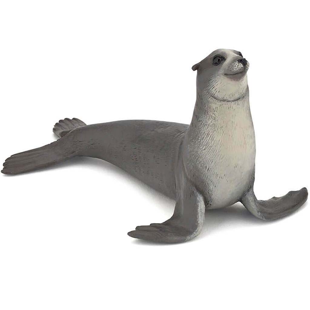 PAPO Sea Lion 