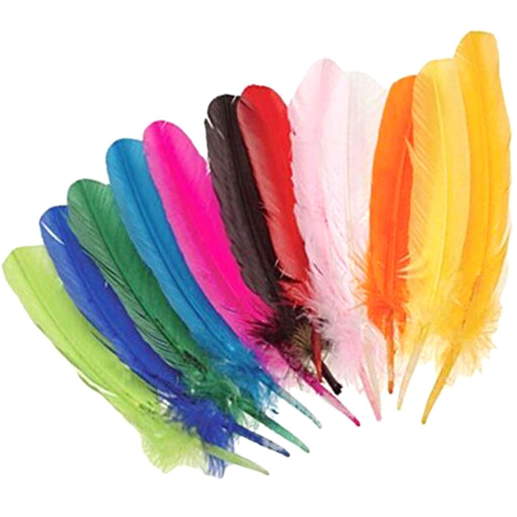 Assorted Color Turkey Feathers