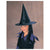 Witch Hat with Hair