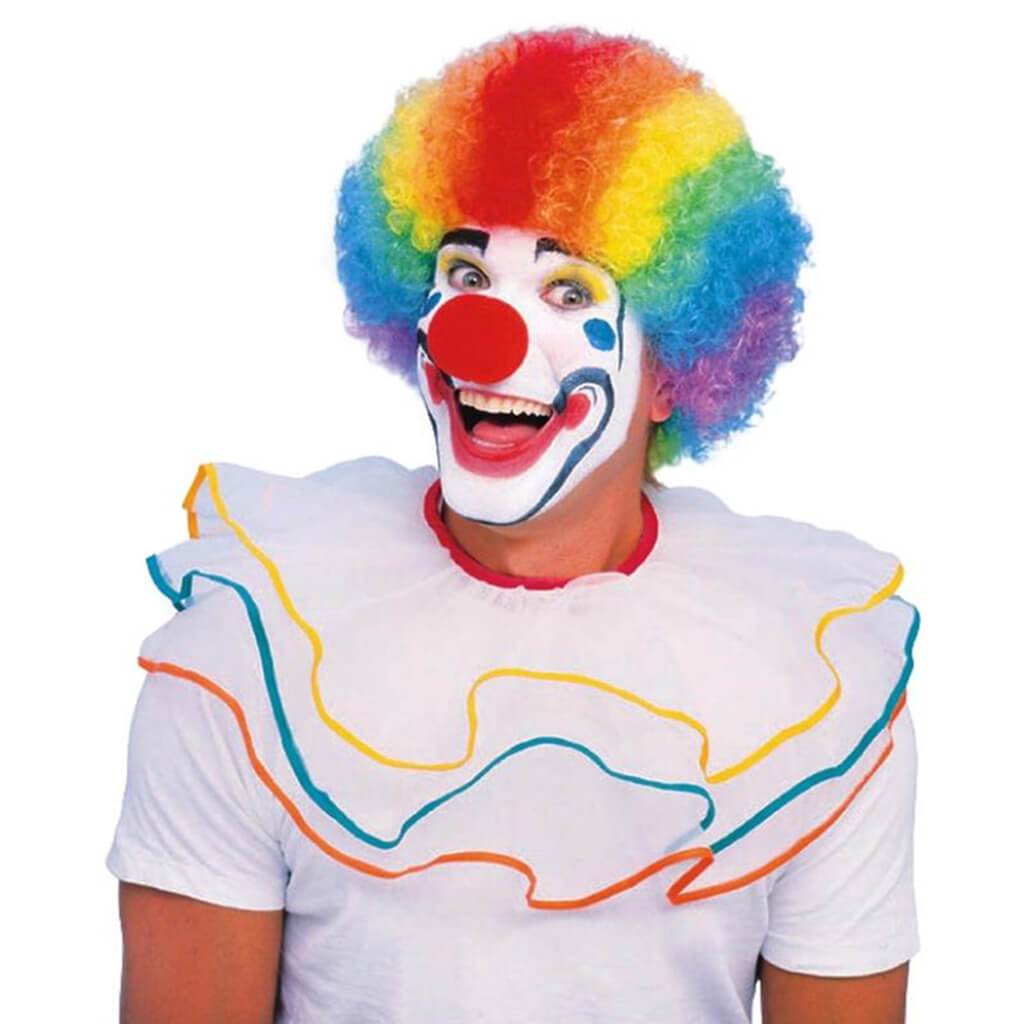 Clown Multicolor Wig