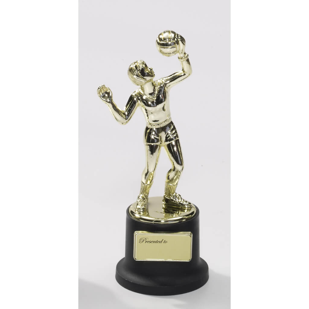 SMALL TROPHY-VOLLEYBALL 