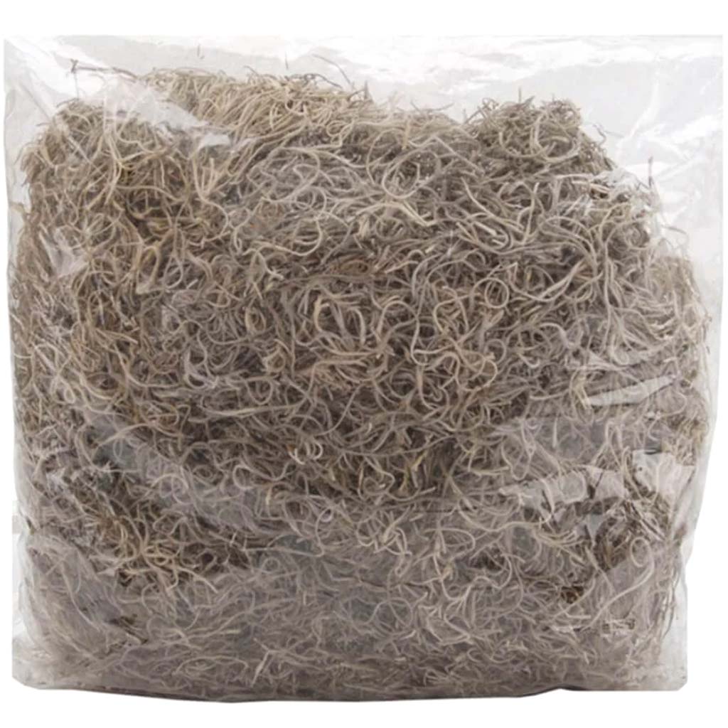 Spanish Moss Bag 4oz