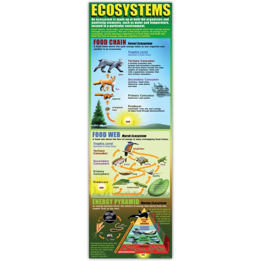 Colossal Poster Ecosystems 