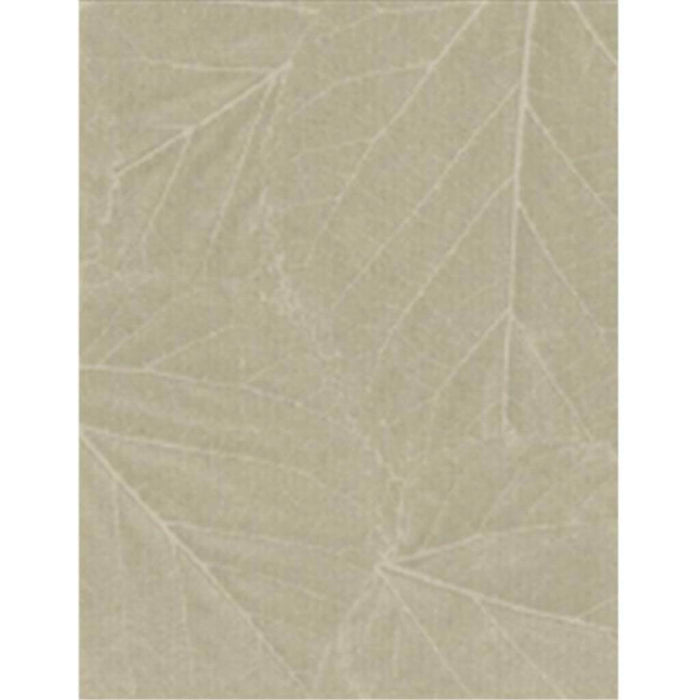 Dry Erase Board 8in x 10in Spring Leaves