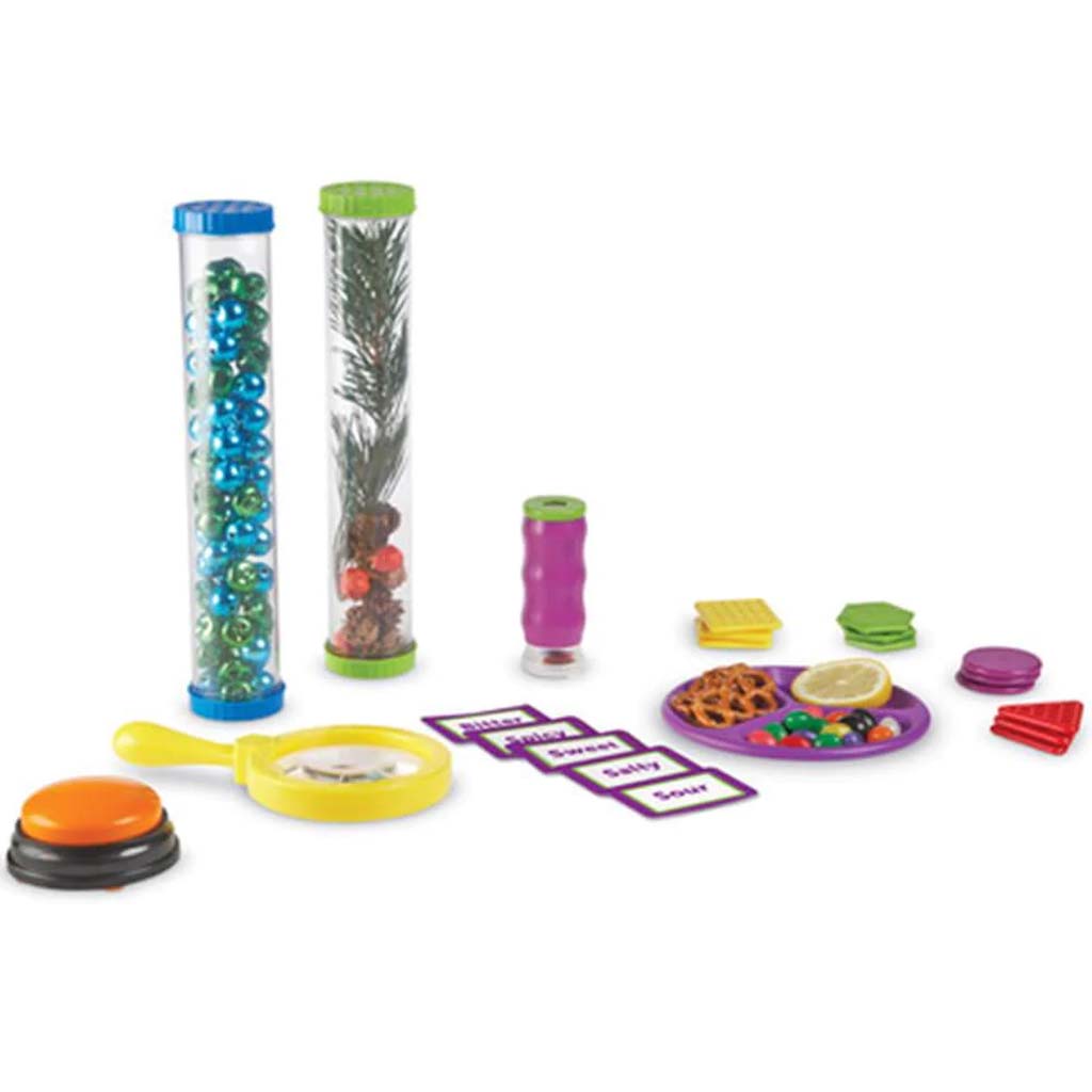 Primary Science Five Senses Activity Set 