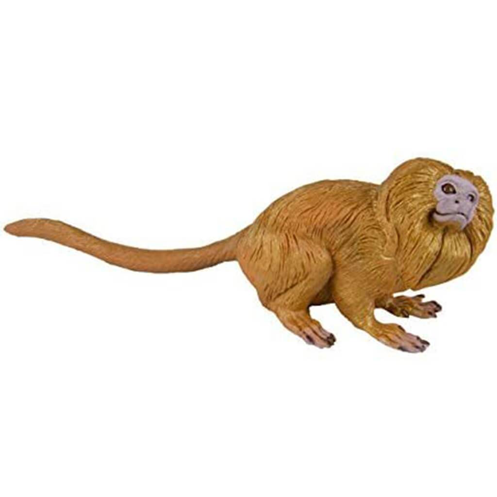 Golden Lion Tamarin