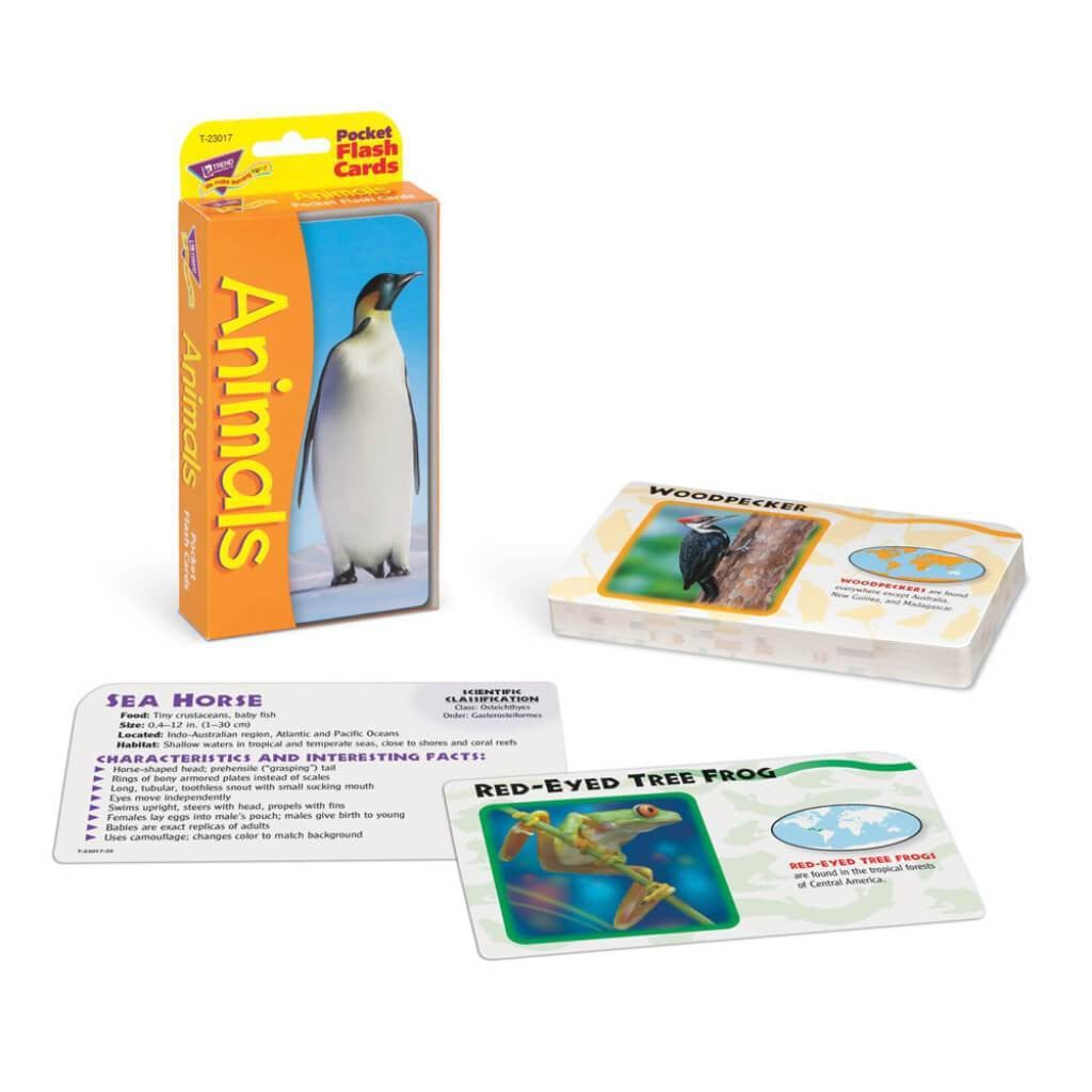 Animals Flash Cards 