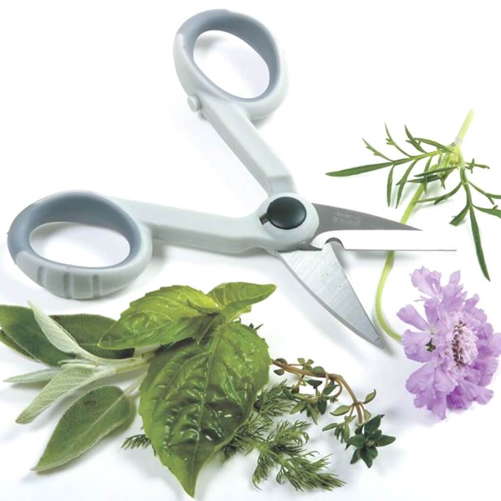 My Favorite Scissors