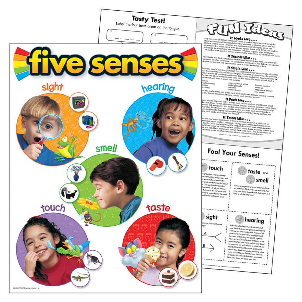 Five Senses Chart 