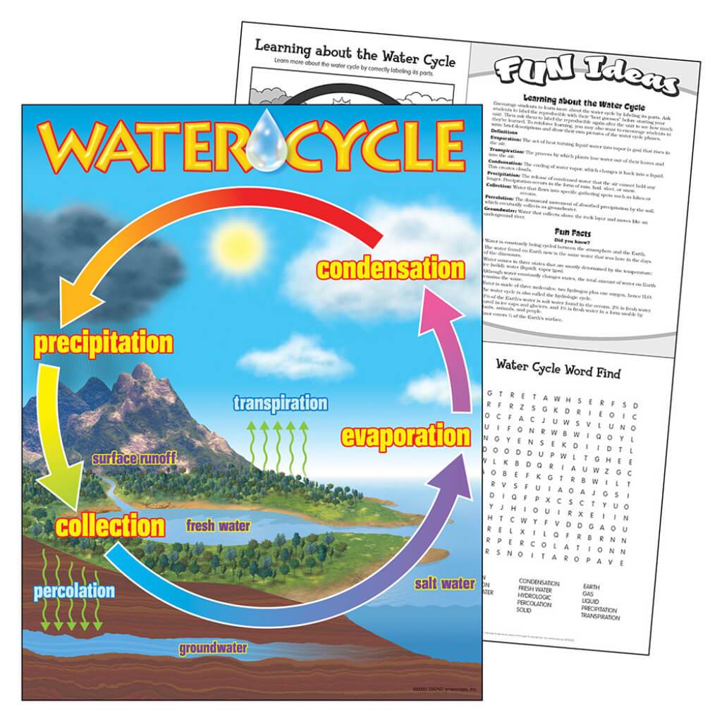 Water Cycle Chart 