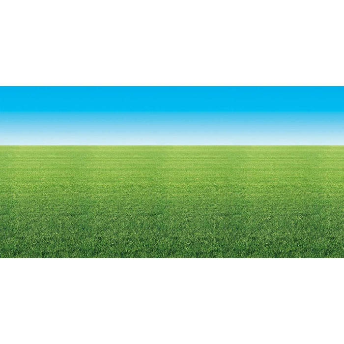 Fadeless Designs 48in x 12ft Summer Horizon