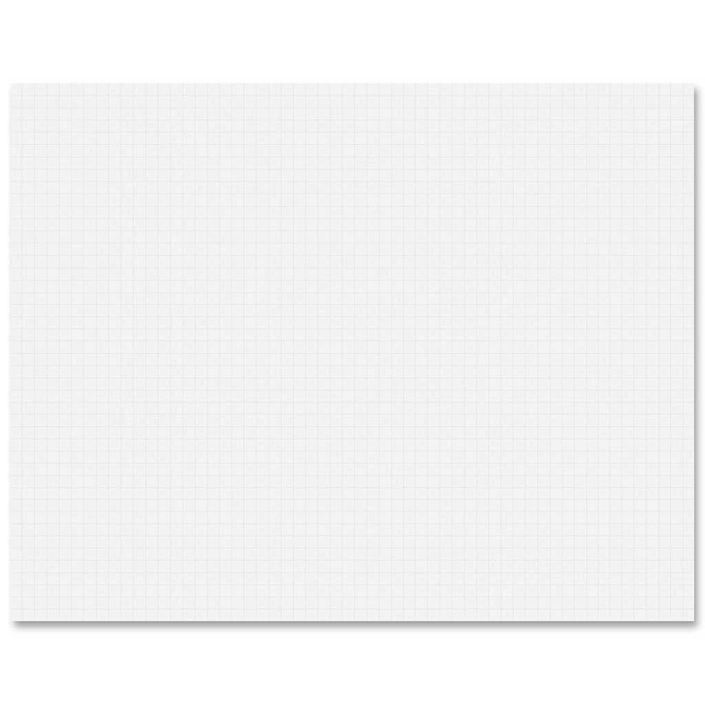 Fade Away Poster Boards 25ct 22in x 28in White