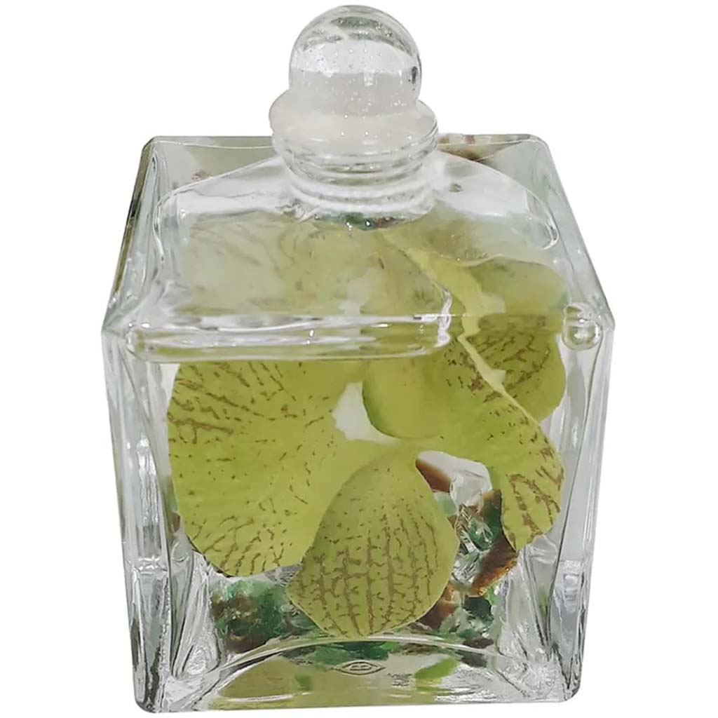 GREEN ORCHID CUBE VIAL